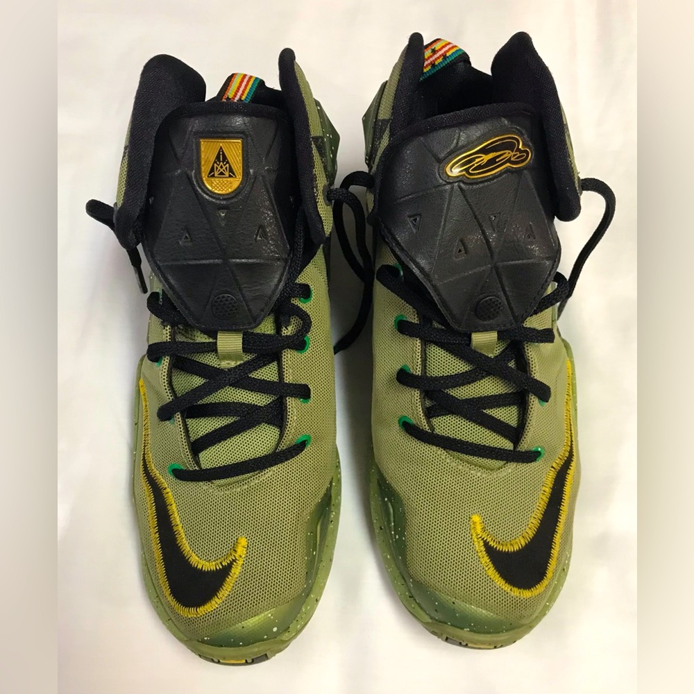 Ninja turtle green Lebron James US size 5 youth
